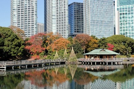 Autumn foliage around the teahouse pond at Hamarikyu Gardens