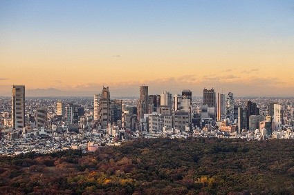 Tokyo skyline at dusk seen across the treetops of central Tokyo